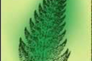 Лист папоротника