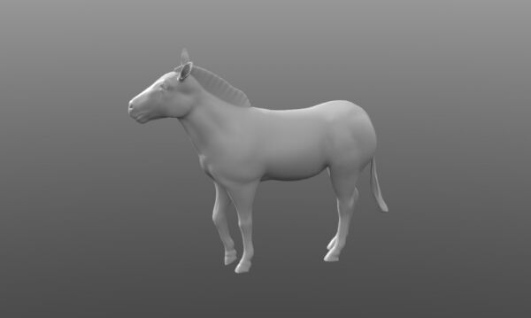 img3433781.png