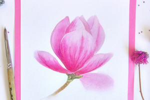 лориодендрон розовый