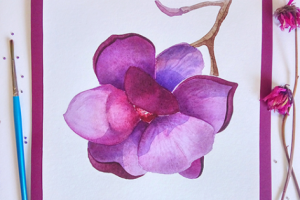 лориодендрон тюльпановый