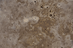 Рилс для салона света