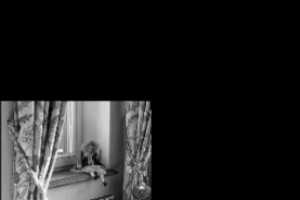 Рилс для сети салонов штор