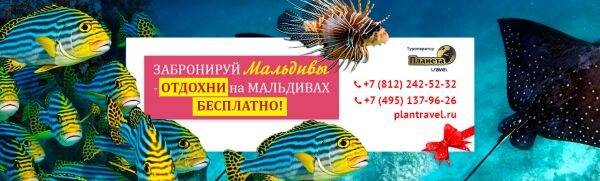 img3601124.png