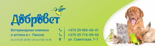 img3781655.png