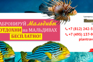 Планета Travel баннеры