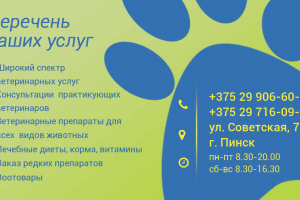 Вет клиника