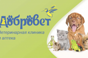 Вет клиника