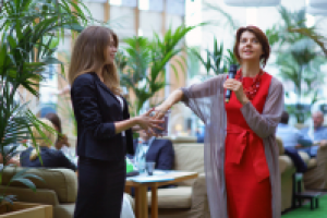 Леруа Мерлен