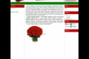 Продажа цветов