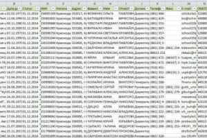 Сбор БД директоров