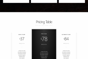 WordPress Landing Page с адаптивным дизайном, сроки 4-5 дней.