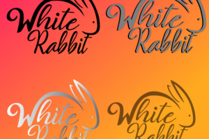 Отрисовка логотипа в 4 вариантах в Векторе.