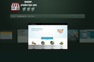 Магазин скриптов на WordPress