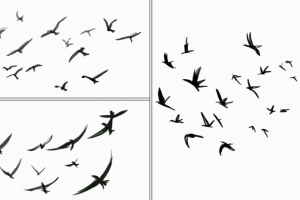 Схематичная отрисовку улетающих птиц.