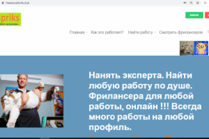https://freelancedrofa.club