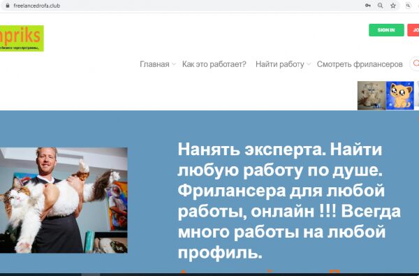 img3848855.png