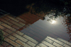 Текст вакансии для арт-галереи "Отражение"