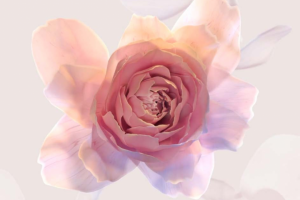 Моющий гель для интимной гигиены Гинокомфорт