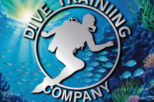 Логотип компании, обучающей дайвингу
