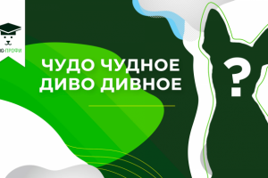 Баннер для ютуб