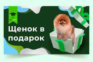 Обложка ютуб