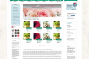 Интернет-магазин «Магазин цветов» под Joomla 2.5 + VirtueMart 2