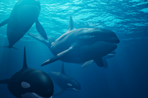 Анимация подводных животных