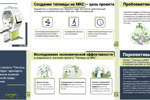 Презентация про теплицу