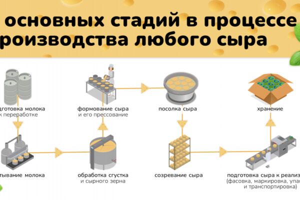 img4544842.png