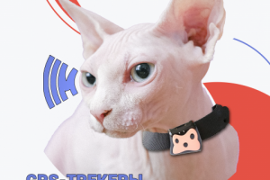 Работа 4160577