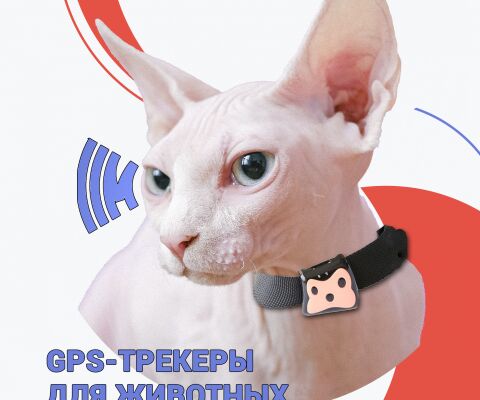 img4160577.png