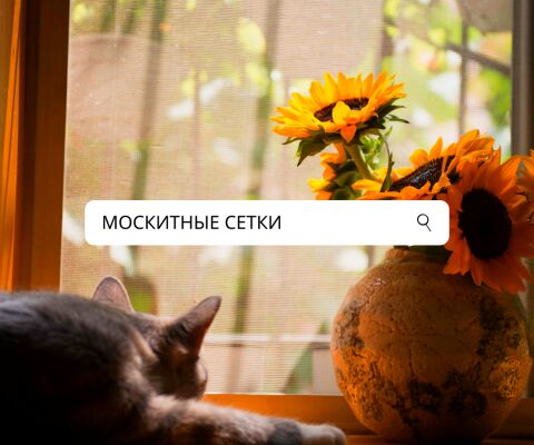 img4160575.png