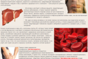 Пивная анатомия