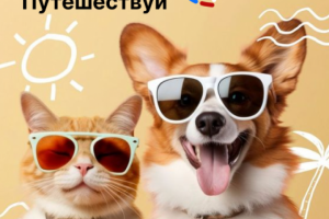 Рекламный баннер для перфоманс – кампании