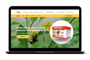 Шмели для опыления