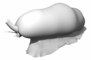 «Язык фламинго»