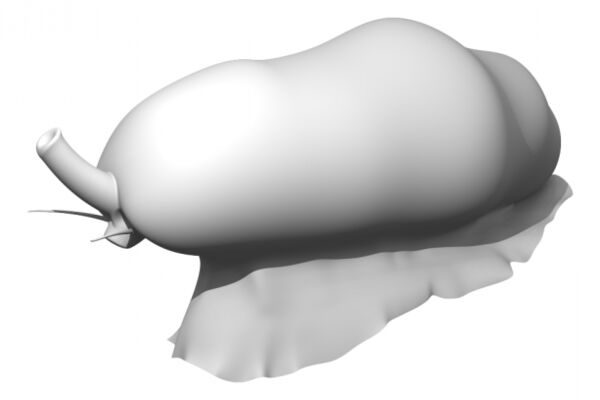 img3450466.png
