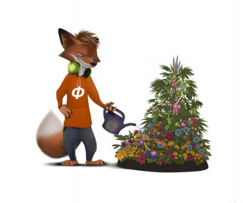 img3097560.png