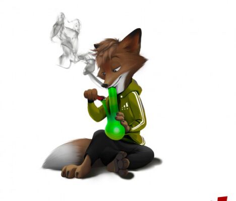 img3097552.png