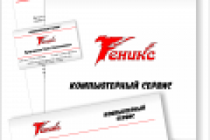 Феникс, 2010г.