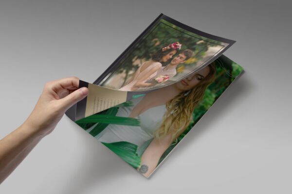 img3297178.png