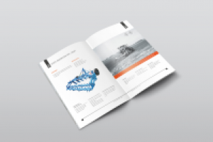 Каталог Ярославич