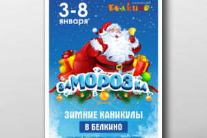 Афиша "Заморозка" для детского клуба отдыха "Белкино"