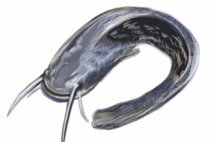 для детского лото