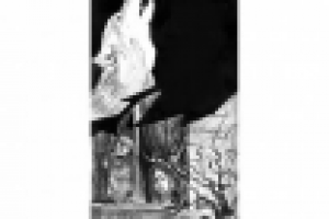 иллюстрация к плахе