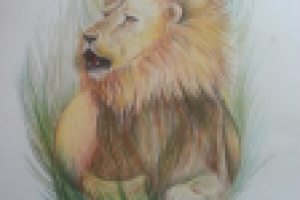 эскиз тату льва