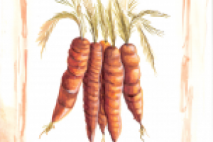 Работа 2021262