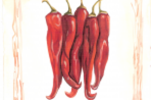 Работа 2021260