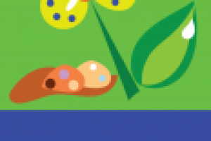 аппликация