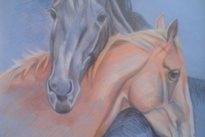 спокойствие